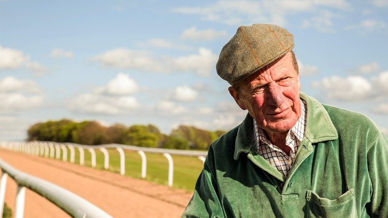 Searching for Shergar movie poster