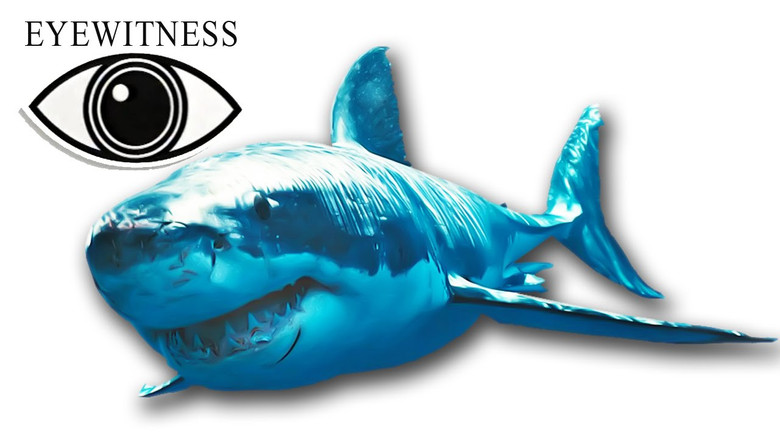 Still image for Eyewitness season 1 episode 12: Shark Still image for Eyewitness season 1 episode 12: Shark