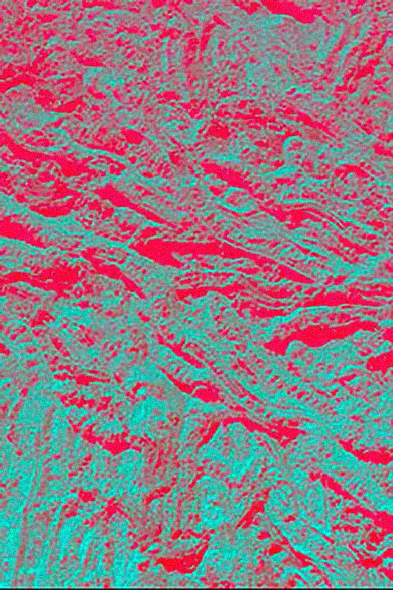 Imatge de Dove vanno i vecchi dèi che il mondo ignora?