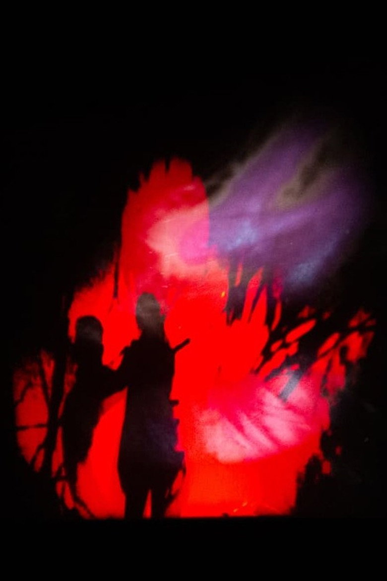 Hallucinations audio-visuelles background