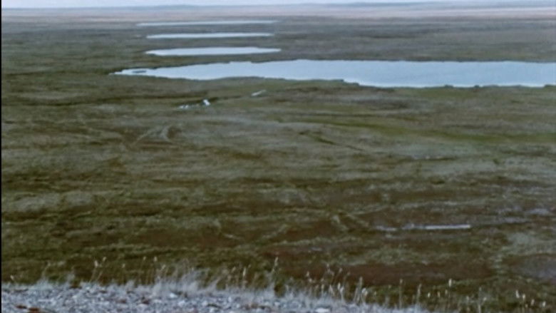 Gallery image from 2Dqqd9B5OMQNBvbR1tFSKo02zIT.jpg