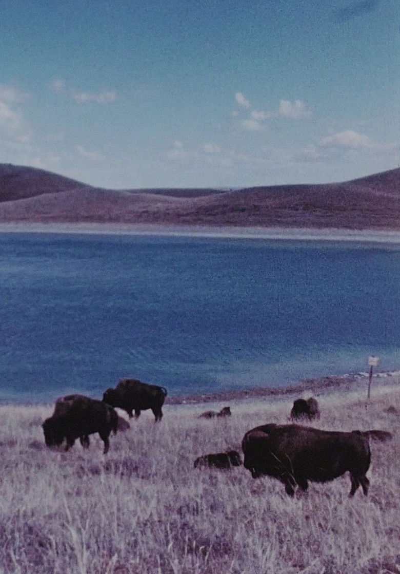 Imatge de Concerto for Water, Sun and Wilderness