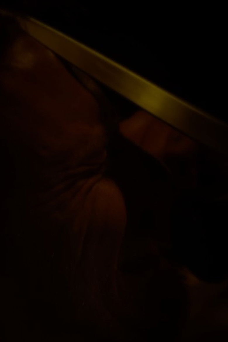 Imatge de Is Someone There?