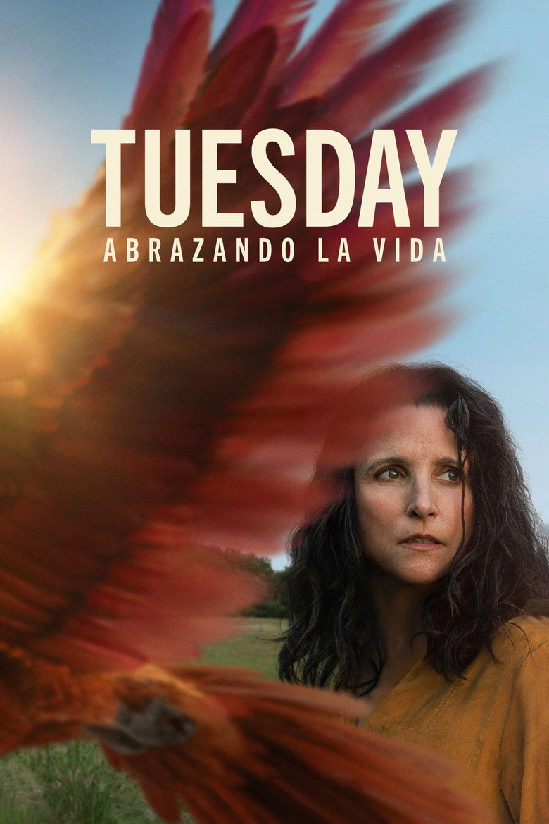 Póster la Película