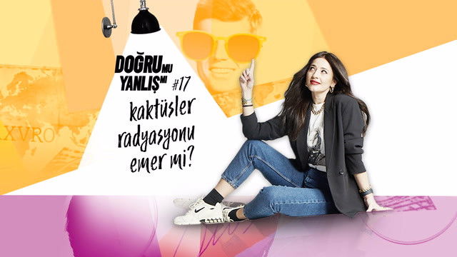 Still image for Doğru Mu Yanlış Mı? season 1 episode 17: Episode 17