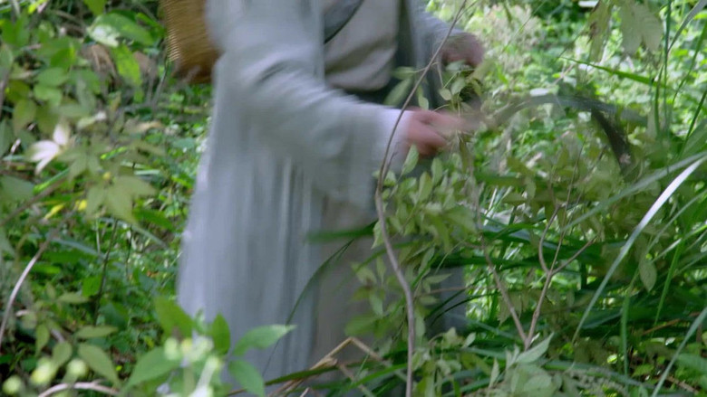 Still image for Righteous Path Of The World season 1 episode 8: Episode 8