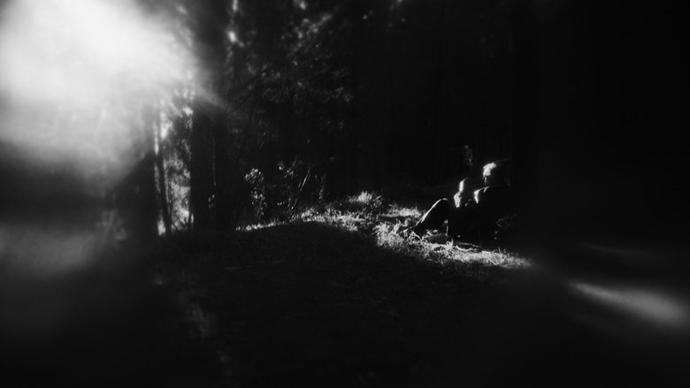 Gallery image from 2Gc8fSkdOmuzYZm6T7xchzHrAuJ.jpg