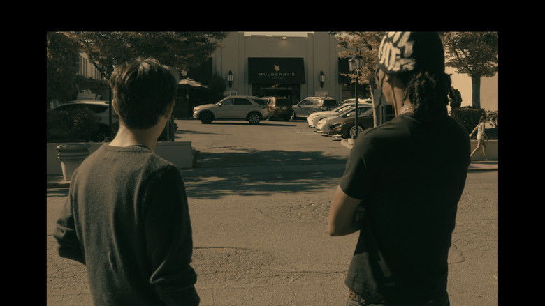 Hills & Roots (2025)