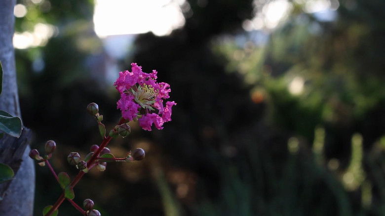 The Day The Earth Stood Still and Asked Me What I Wanted to Be When I Grew Up