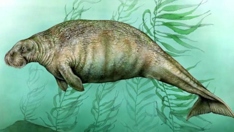 Imatge de O Poema Imperfeito