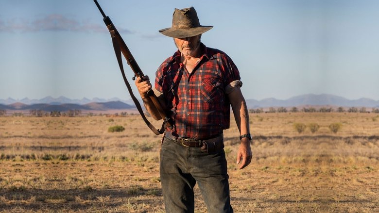 Wolf Creek Collection