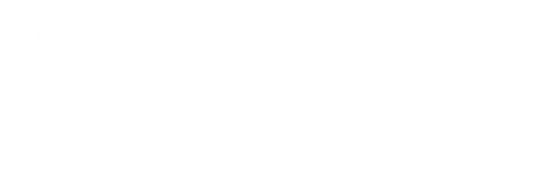The November Man