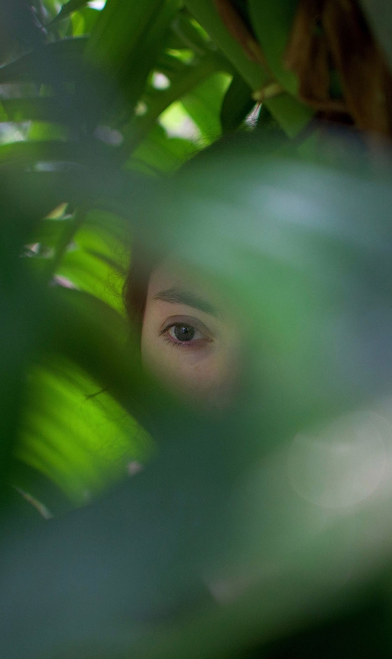 Imatge de Les grands squelettes