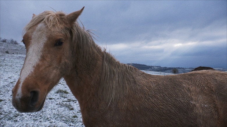 Still from Vent du Matin