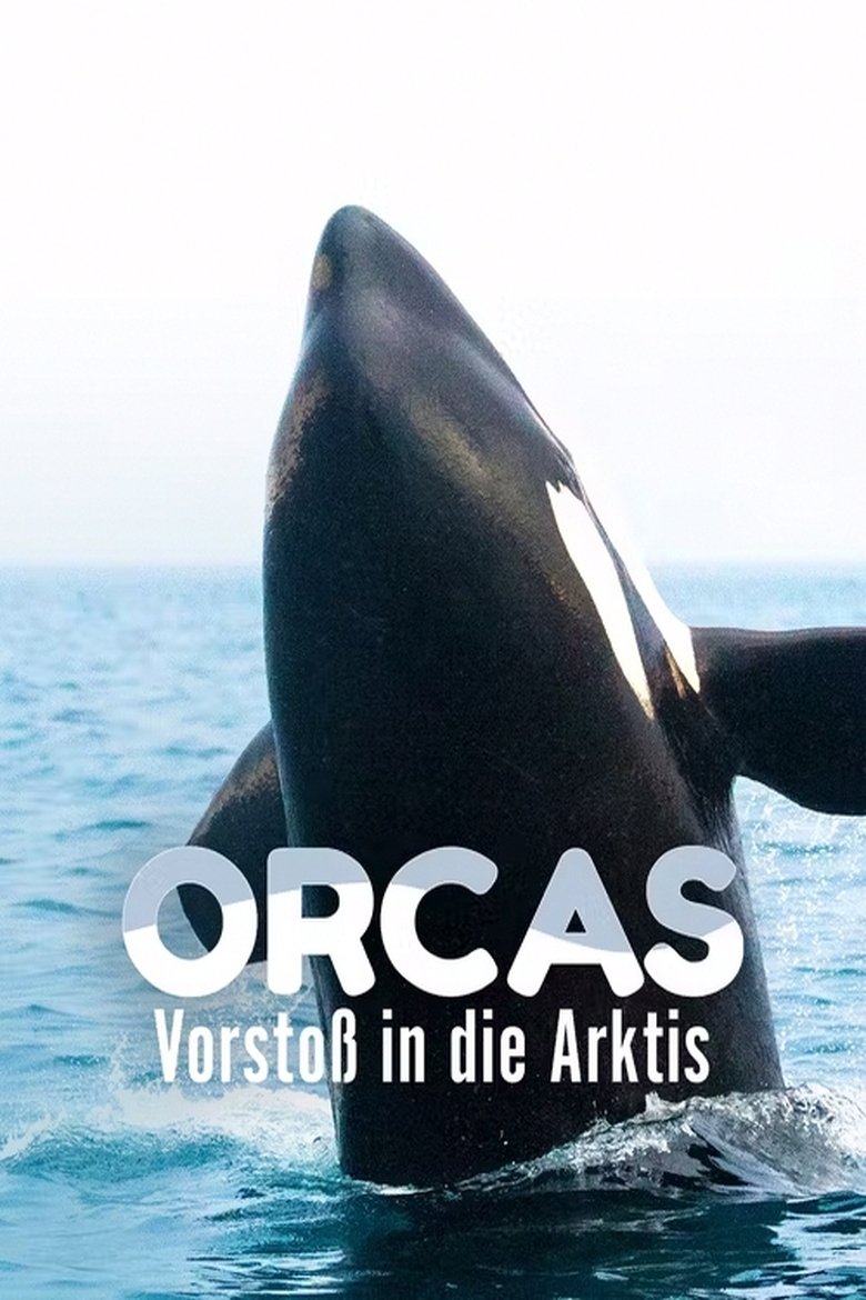 Orcas - Vorstoss in die Arktis main poster