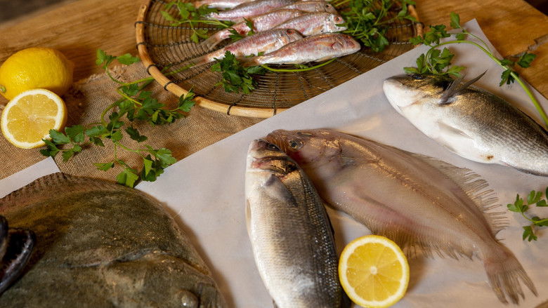 Still image for Escuela Canal Cocina season 1 episode 9: Episode 9