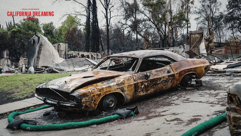 Gallery image from 2Le9mFGaSsr2MMsOfvIS9Sa8ae5.jpg