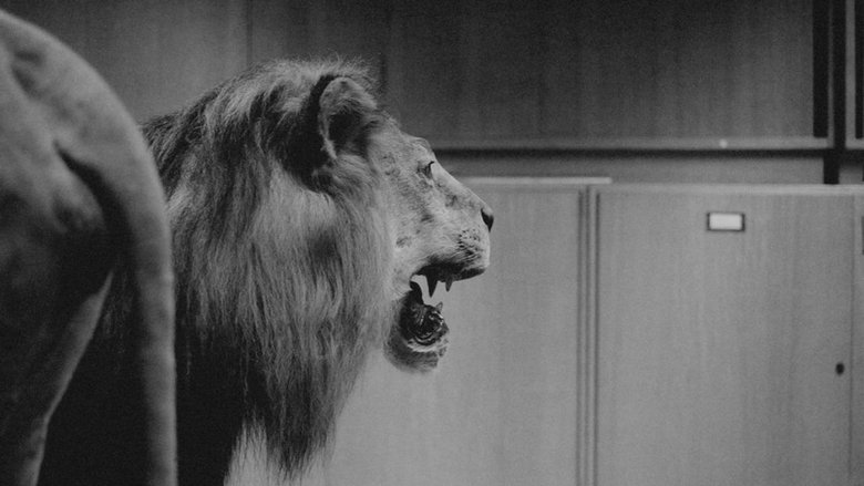 Gallery image from 2Llw1pjBelXhUKzCVThPy5to1bB.jpg