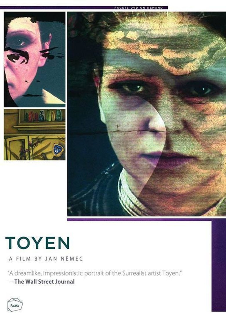 Toyen main poster