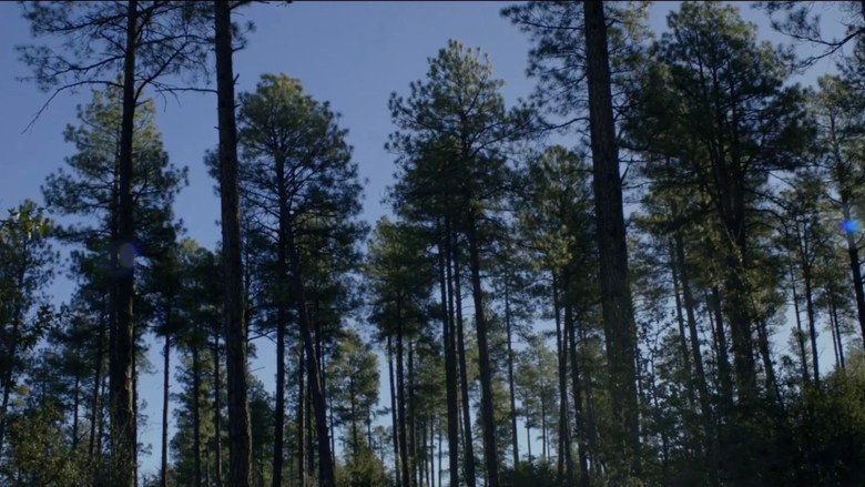 Gallery image from 2M3k07QK4loETHkiggpWOgZiYj6.jpg