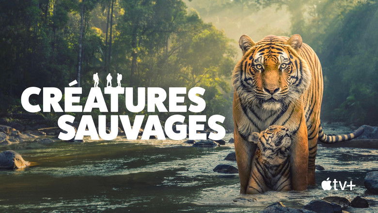 Gallery image from 2MC6dGdlrZmV6cSWtmVPDW1HF6U.jpg