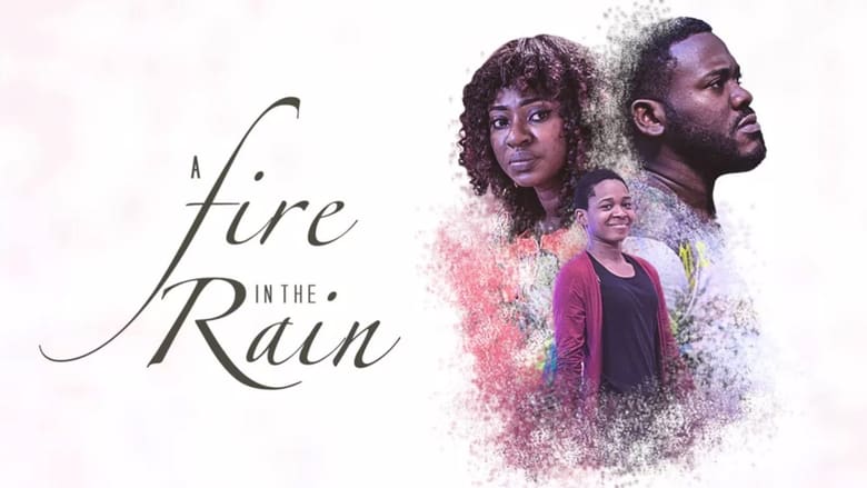 A Fire In The Rain movie poster