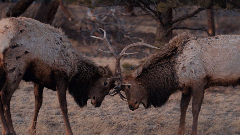 Frame from 50 Hours to Wyoming