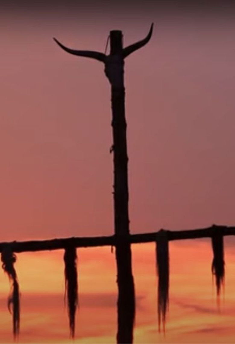 Imatge de Négy évszak a magyar pusztán