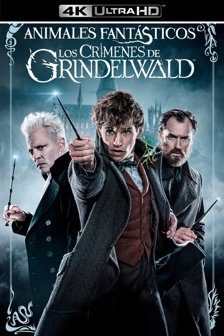 Póster la Película