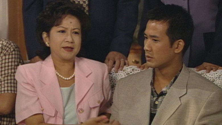 真情 Temporada 1 Episodio 293 Cuevana 3