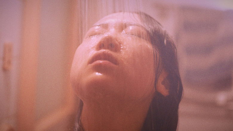 Imatge de 不可能女孩