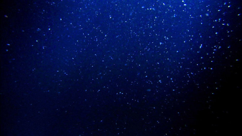 Still from Planet Earth - Season 1 Episode 11