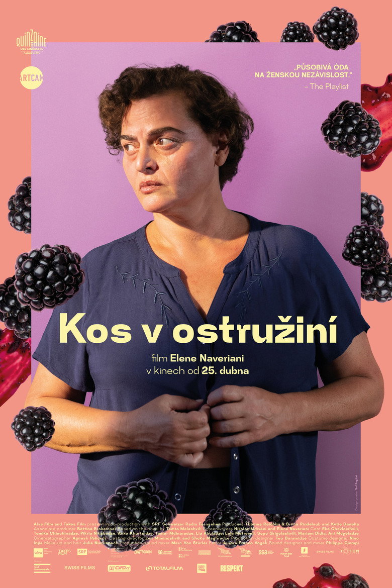 Plakát k filmu Kos v ostružiní