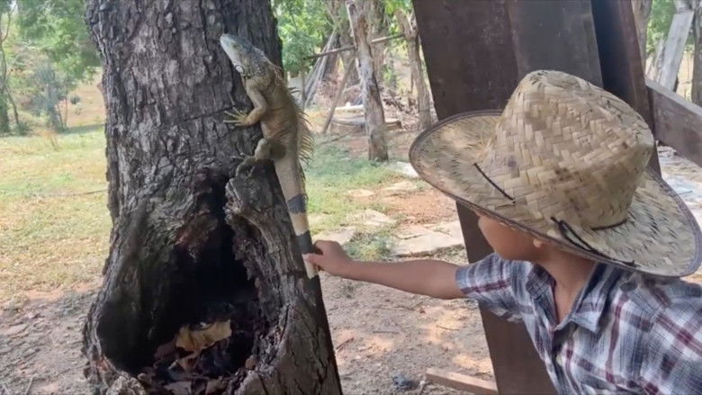 Gallery image from 2Qcuw51n2sYheM1nbiW5IxYRCIy.jpg