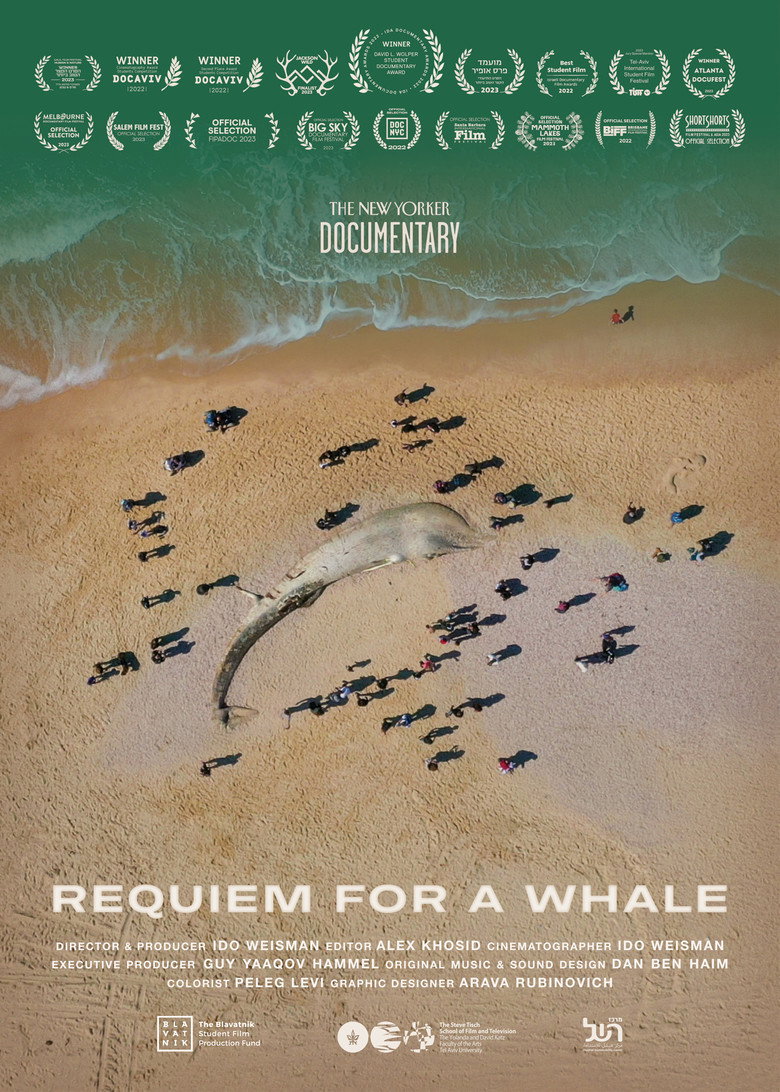 Requiem for a Whale