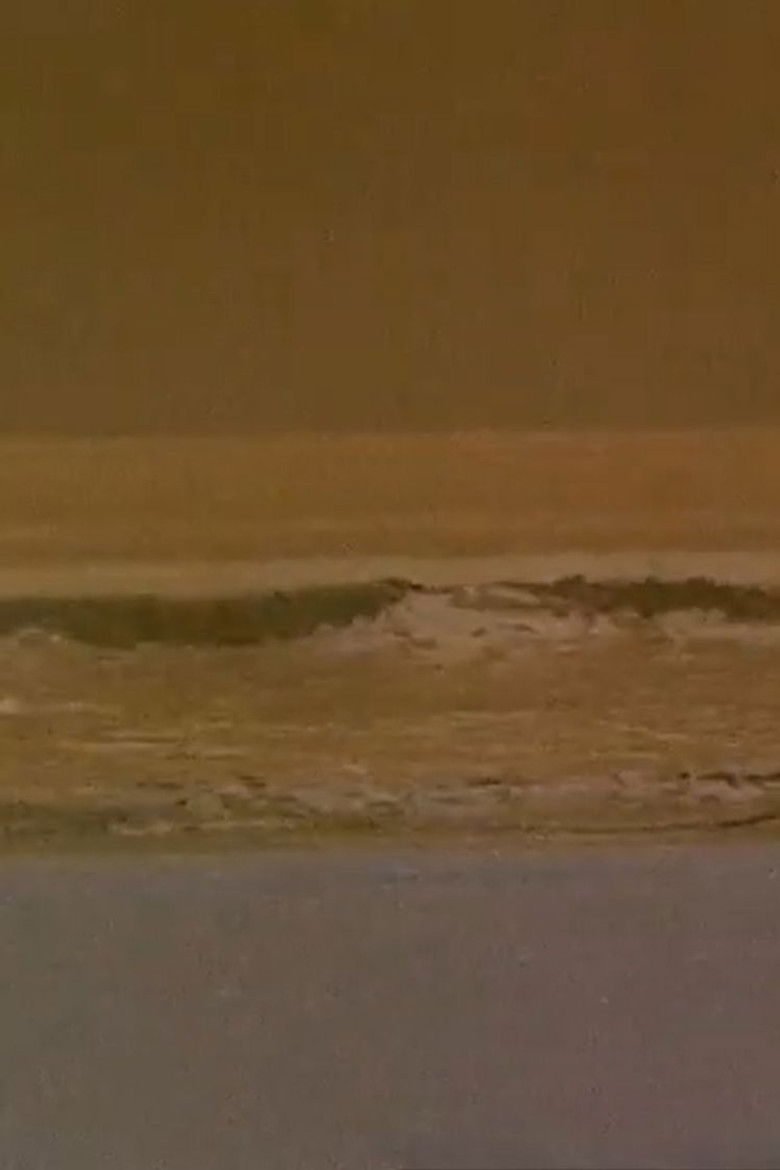 Imatge de Skeleton Dance