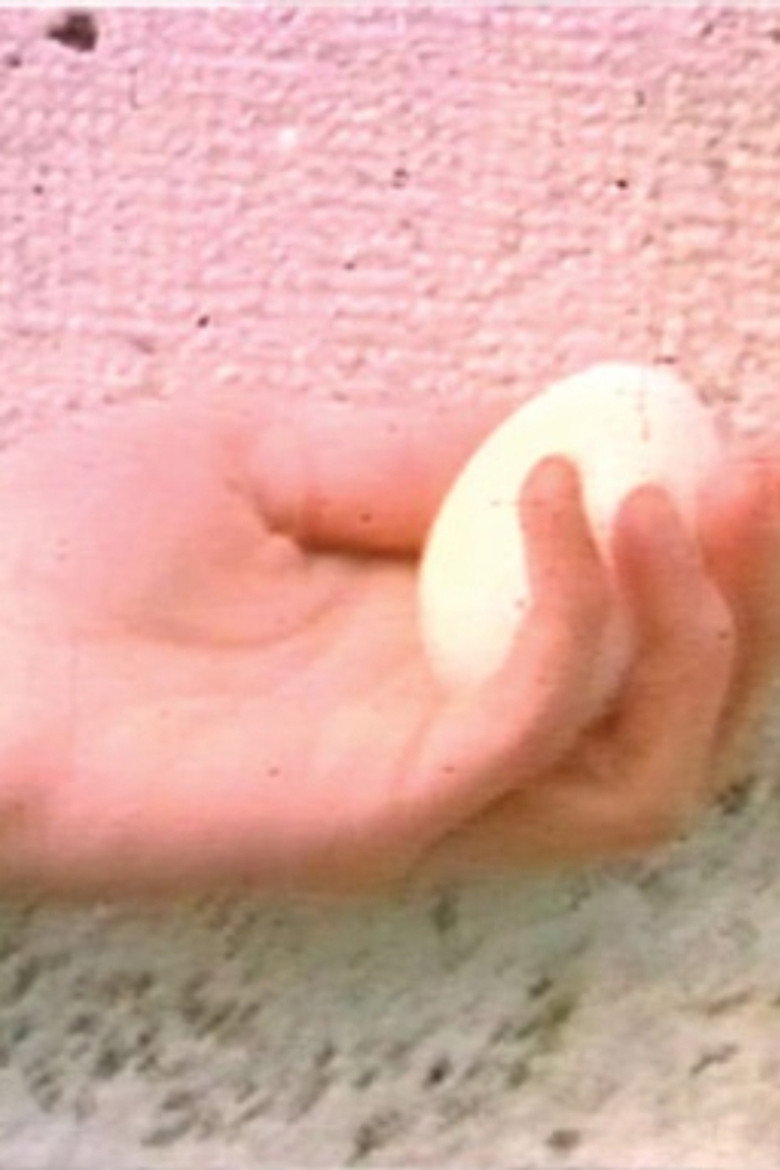 Imatge de Norme per gli olocausti