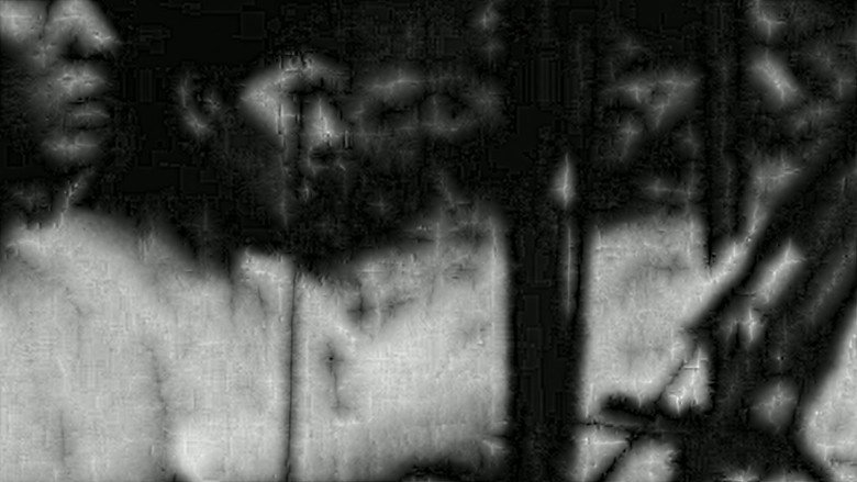 Imatge de A conquista da floresta