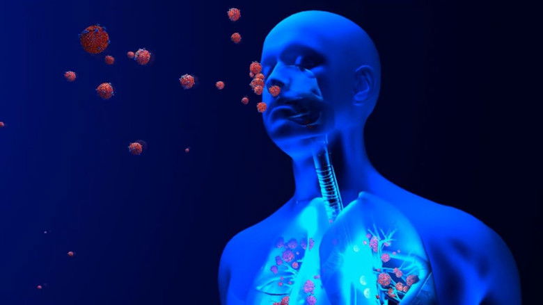 Gallery image from 2RSiQFVTTMq0W5hIvPv4KR4Z9Wd.jpg