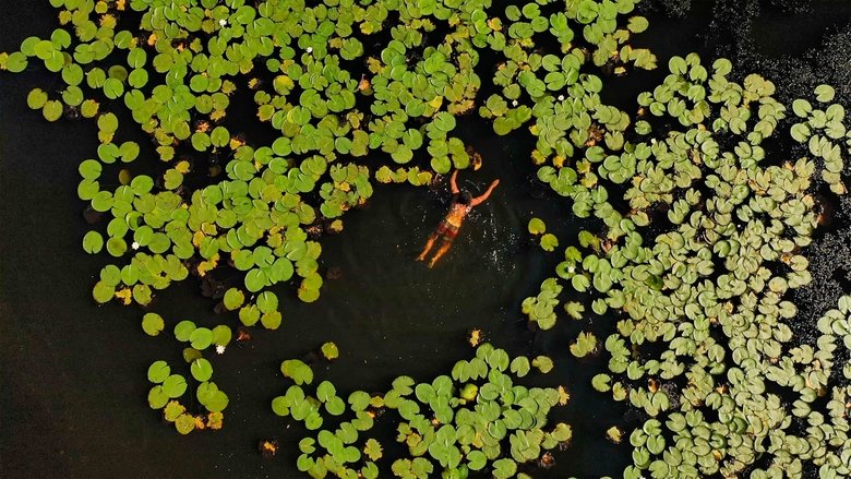 Gallery image from 2RkcFALdzVJ7JoKMEVhG9yuHZ4p.jpg