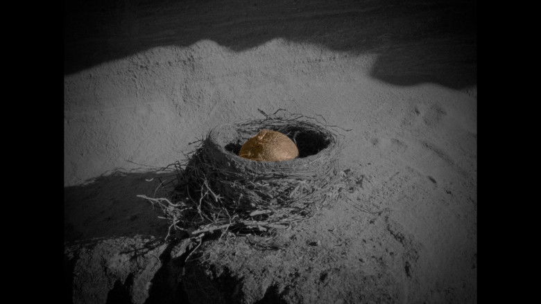 Gallery image from 2RxMts7IdbaKJPcOQucyNHCX764.jpg