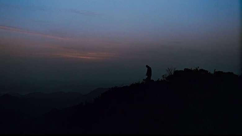 Movie Backdrop