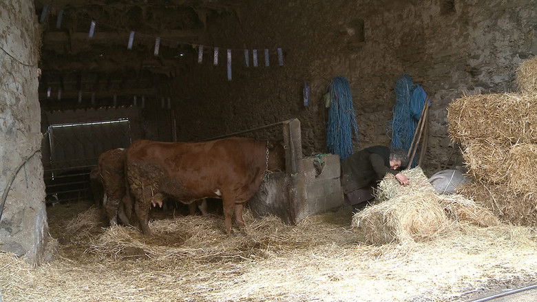 Gallery image from 2Sb9atavamYy5hhLRaYuYgTTswm.jpg