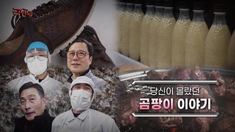 Still image for Extreme Job season 1 episode 1174: Episode 1174