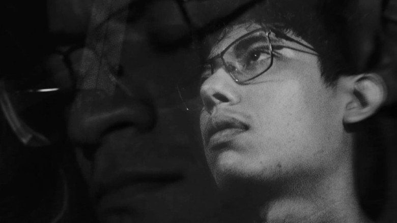 Imatge de Admiráveis Solitários