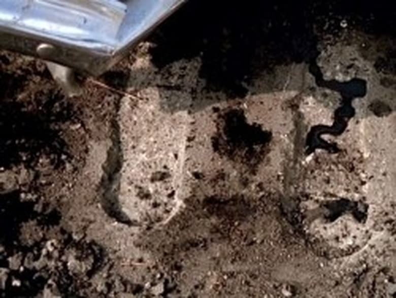 The X-Files S08E09 — Salvage episode still