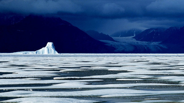 Still from Planet Earth - Season 1 Episode 6