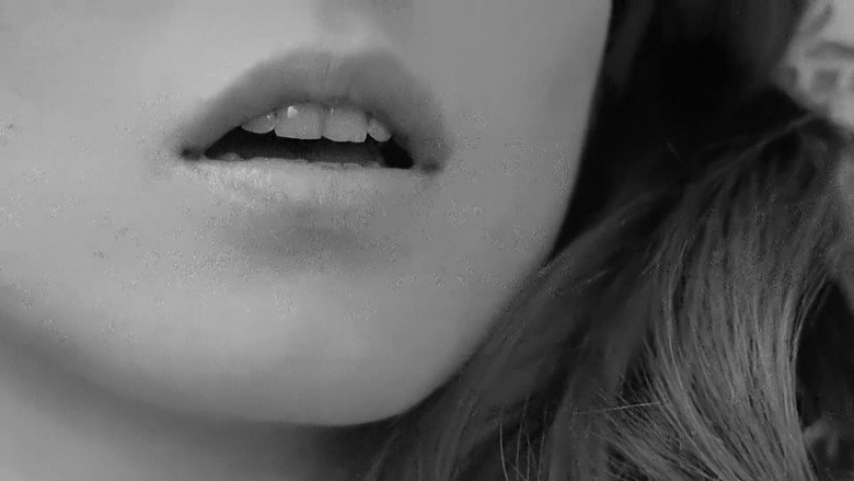 Trans-Europ-Express image 7