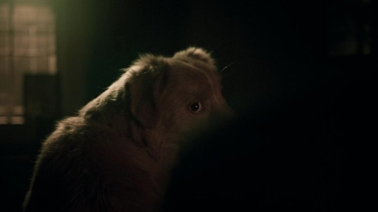 Good Boy (2025)