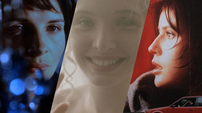 Backdrop de Trois Couleurs Collection